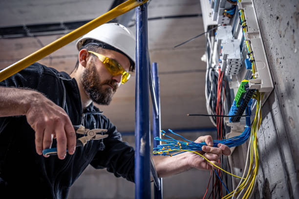 Best Electric Panel Repair  in Somerville, TN